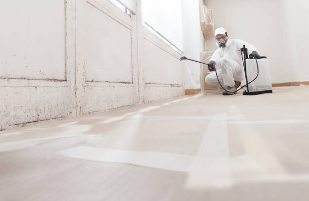 Best Mold Removal for HVAC Installations  in Newton, IA